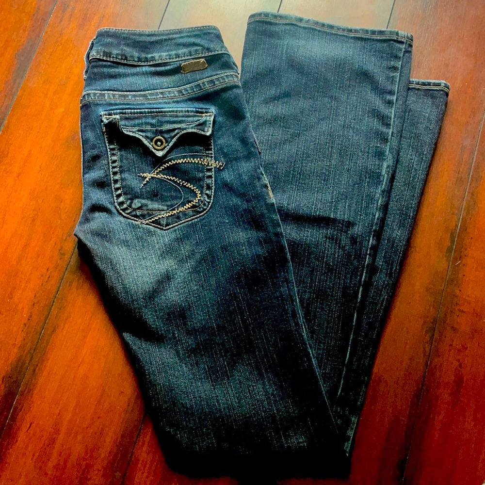 GUC Silver Pioneer 25 x 31.